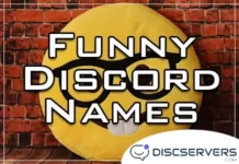 Best Funny Meme Discord Names 2023 | Discservers