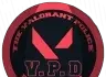 the-valorant-police-department