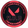 the-valorant-police-department
